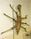 Práce účastníků kurzu podzim 2010