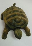 Práce účastníků kurzu 2010