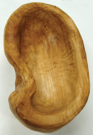 Práce účastníků kurzu 2009