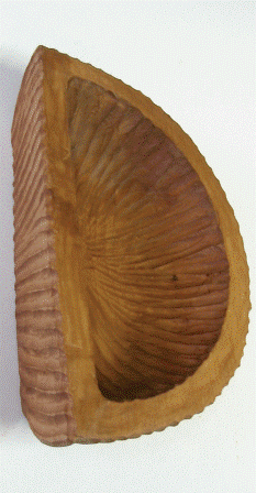 Práce účastníků kurzu 2009