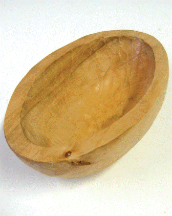Práce účastníků kurzu 2009