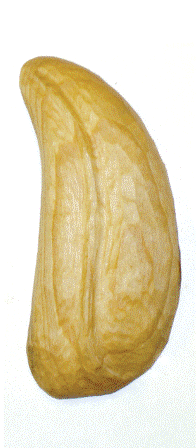 Práce účastníků kurzu 2009