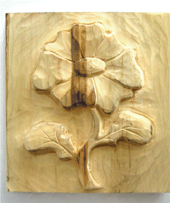 Práce účastníků kurzu 2009