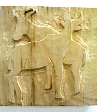 Práce účastníků kurzu 2009