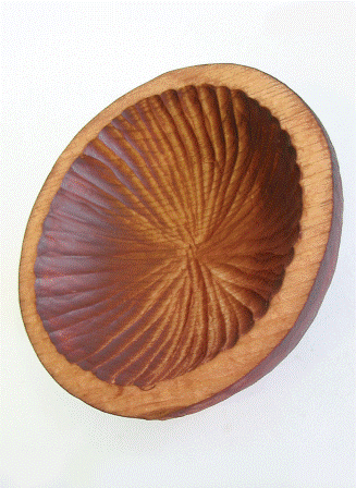 Práce účastníků kurzu 2009