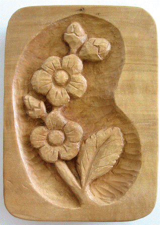 Práce účastníků kurzu 2009