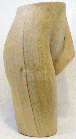 Práce účastníků kurzu 2009