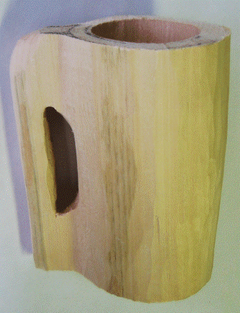 Práce účastníků kurzu 2009