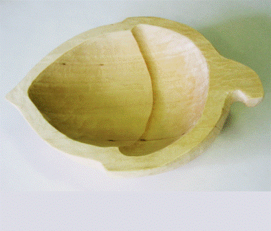 Práce účastníků kurzu 2009