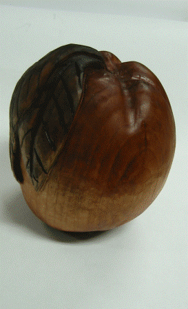 Práce účastníků kurzu podzim 2009)