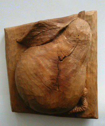 Práce účastníků kurzu podzim 2009